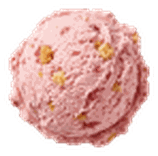 Cheesecake Fragola, artisanale gelato, artisanale gelato